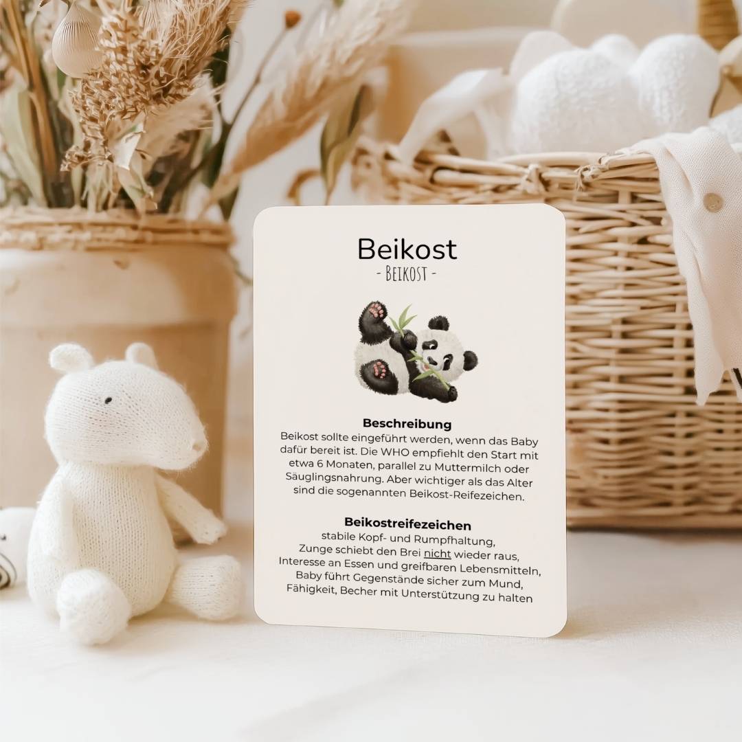 Kinderarzt to go - Neugeborenen-Set